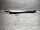 Tailgate/trunk strut/damper