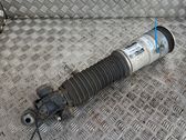 Shock absorber/damper/air suspension