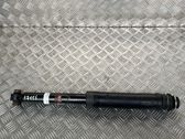 Rear shock absorber/damper