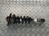 Rear shock absorber with coil spring