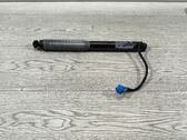 Tailgate/trunk strut/damper