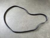 Rear door rubber seal (on body)