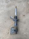 Front shock absorber/damper