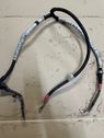 Wires (starter motor)