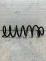 Rear coil spring