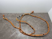 Other wiring loom