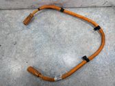 Other wiring loom