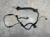 Rear door wiring loom
