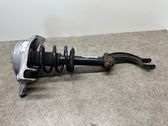 Front shock absorber with coil spring