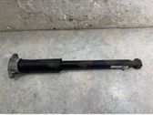 Stoßdämpfer hinten