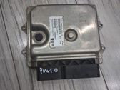 Engine control unit/module ECU