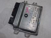 Engine control unit/module ECU