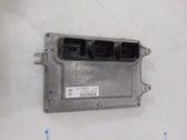 Engine control unit/module ECU