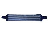 Intercooler radiator