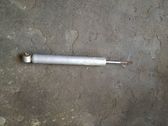 Rear shock absorber/damper