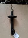 Front shock absorber/damper