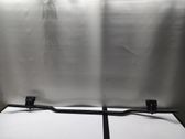 Front bumper support beam