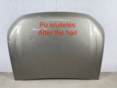 Engine bonnet/hood