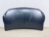 Motorhaube