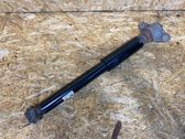 Stoßdämpfer hinten