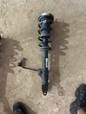 Front shock absorber/damper