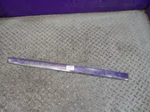 Front door trim (molding)