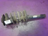 Front shock absorber with coil spring