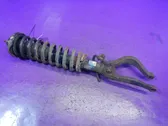 Front shock absorber with coil spring