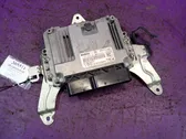 Engine control unit/module ECU