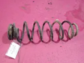 Rear coil spring