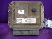 Engine control unit/module ECU