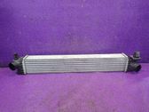 Intercooler radiator