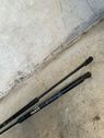 Tailgate/trunk strut/damper