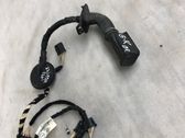 Rear door wiring loom
