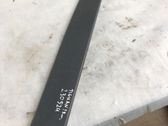 Trunk/boot trim cover