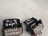 Tailgate/trunk/boot hinge