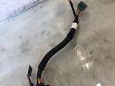 Other wiring loom
