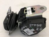 Cinturón de seguridad del techo