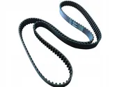 Alternator belt