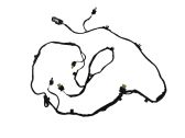 Other wiring loom
