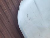 Engine bonnet/hood