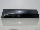 Rear door trim (molding)