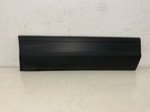Rear door trim (molding)