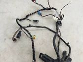 Other wiring loom
