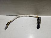 Ignition lock