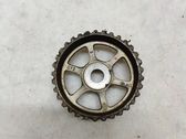 Fuel pump gear (pulley)