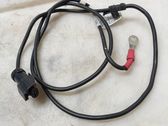 Other wiring loom