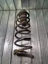 Rear coil spring