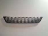 Front bumper lower grill