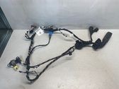 Cableado de puerta delantera
